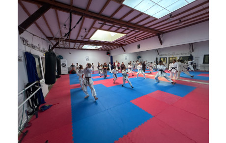 KARATE COLLÉGIEN VENDREDI 18H30