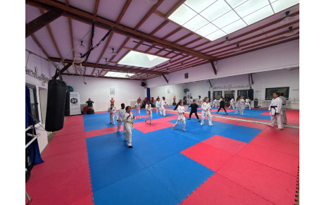 KARATE ENFANT SAMEDI 11H00